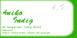 aniko indig business card