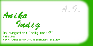 aniko indig business card